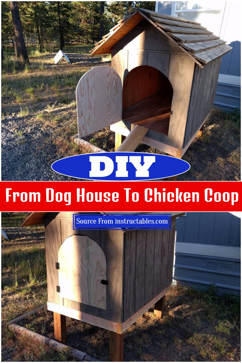 DIY From Dog House To Chicken Coop
