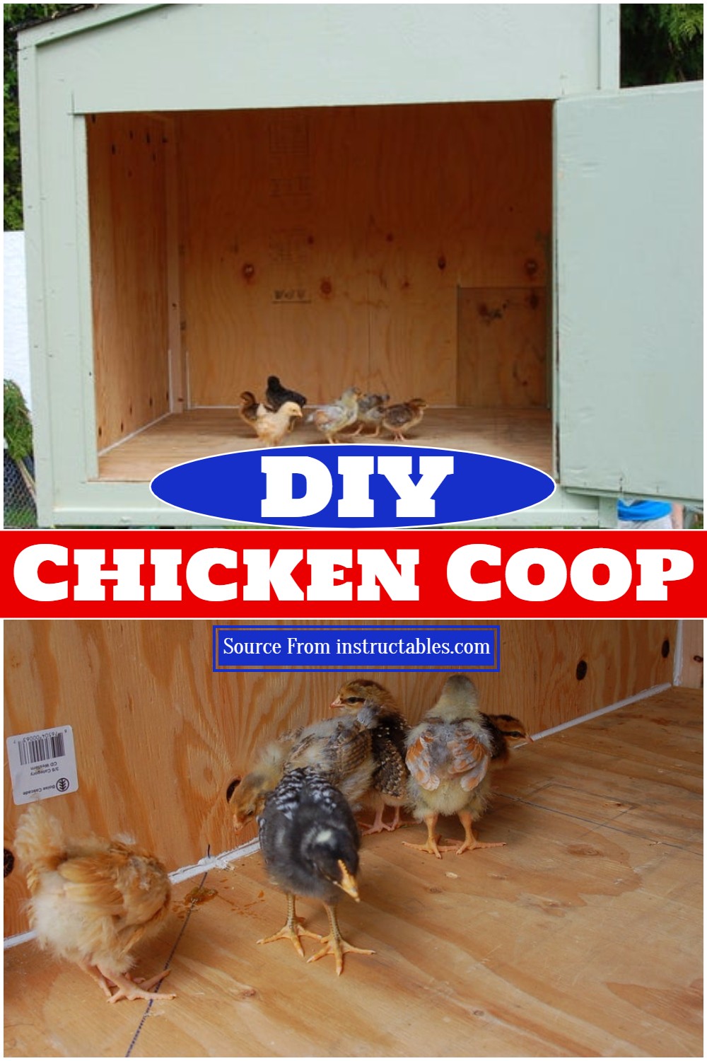 DIY Chicken Coop
