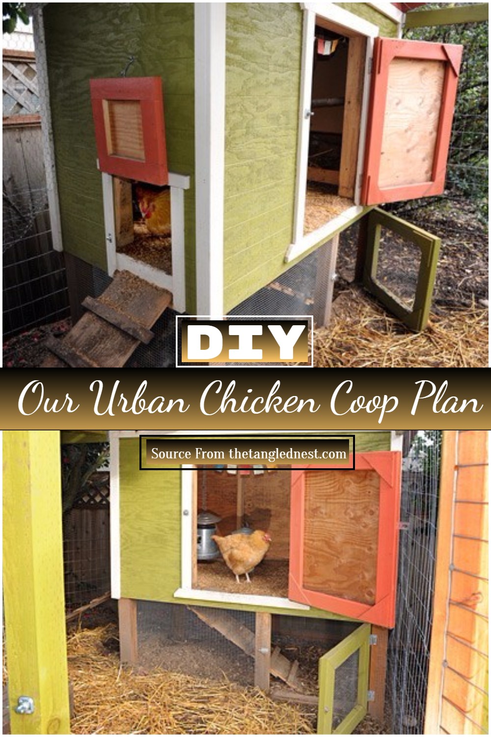DIY Our Urban Chicken Coop Plan