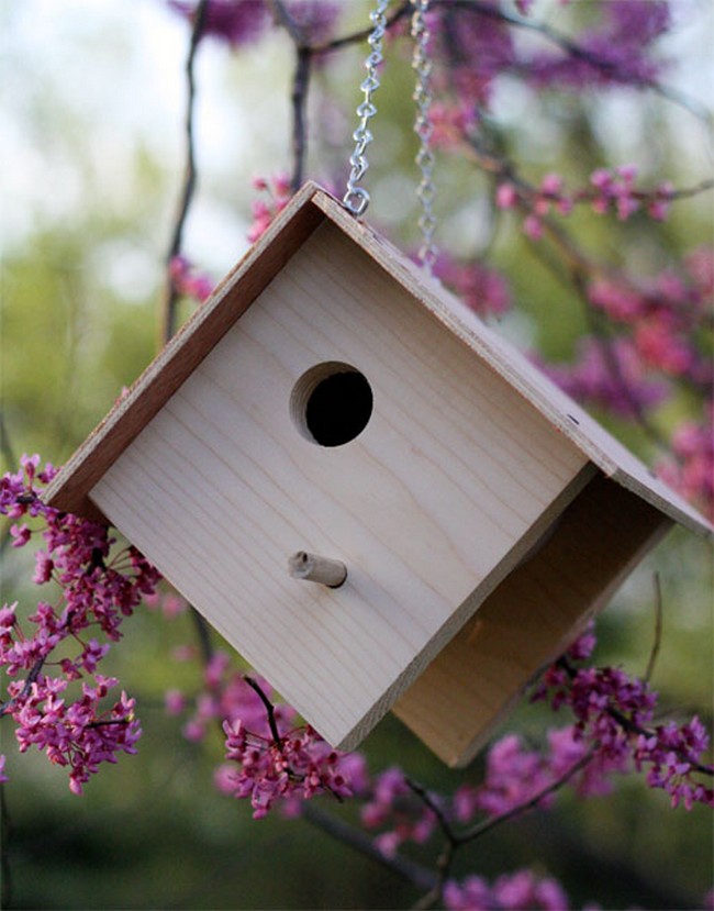 DIY Best Birdhouse