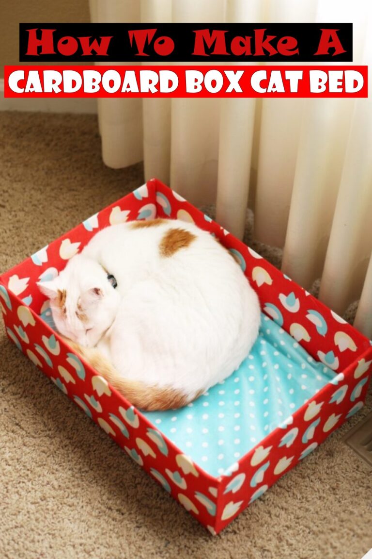 10 DIY Cat Bed Ideas That Anyone Can Do It DIYsCraftsy