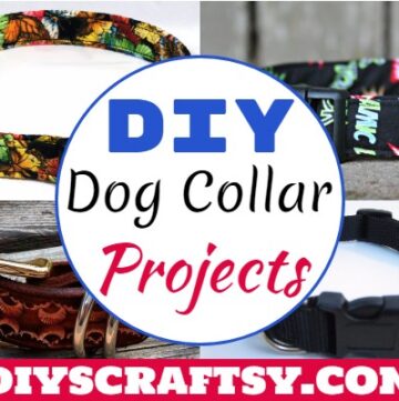 DIY Dog Collar Projects