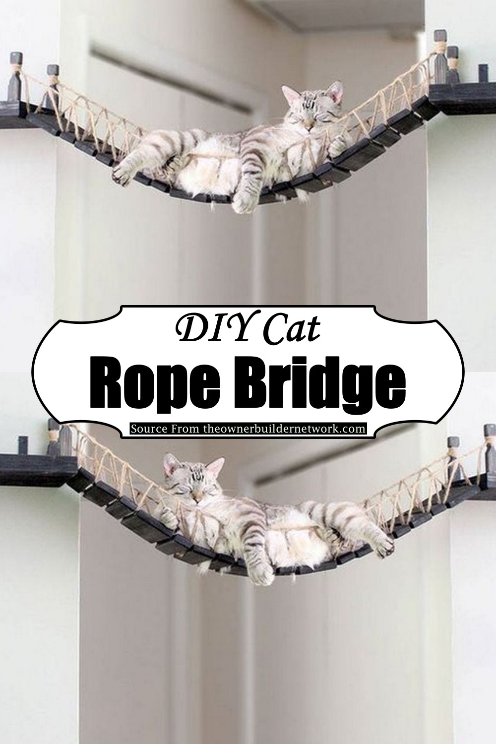 9 DIY Cat Bridge Ideas For Feline Pet Owners DIYsCraftsy
