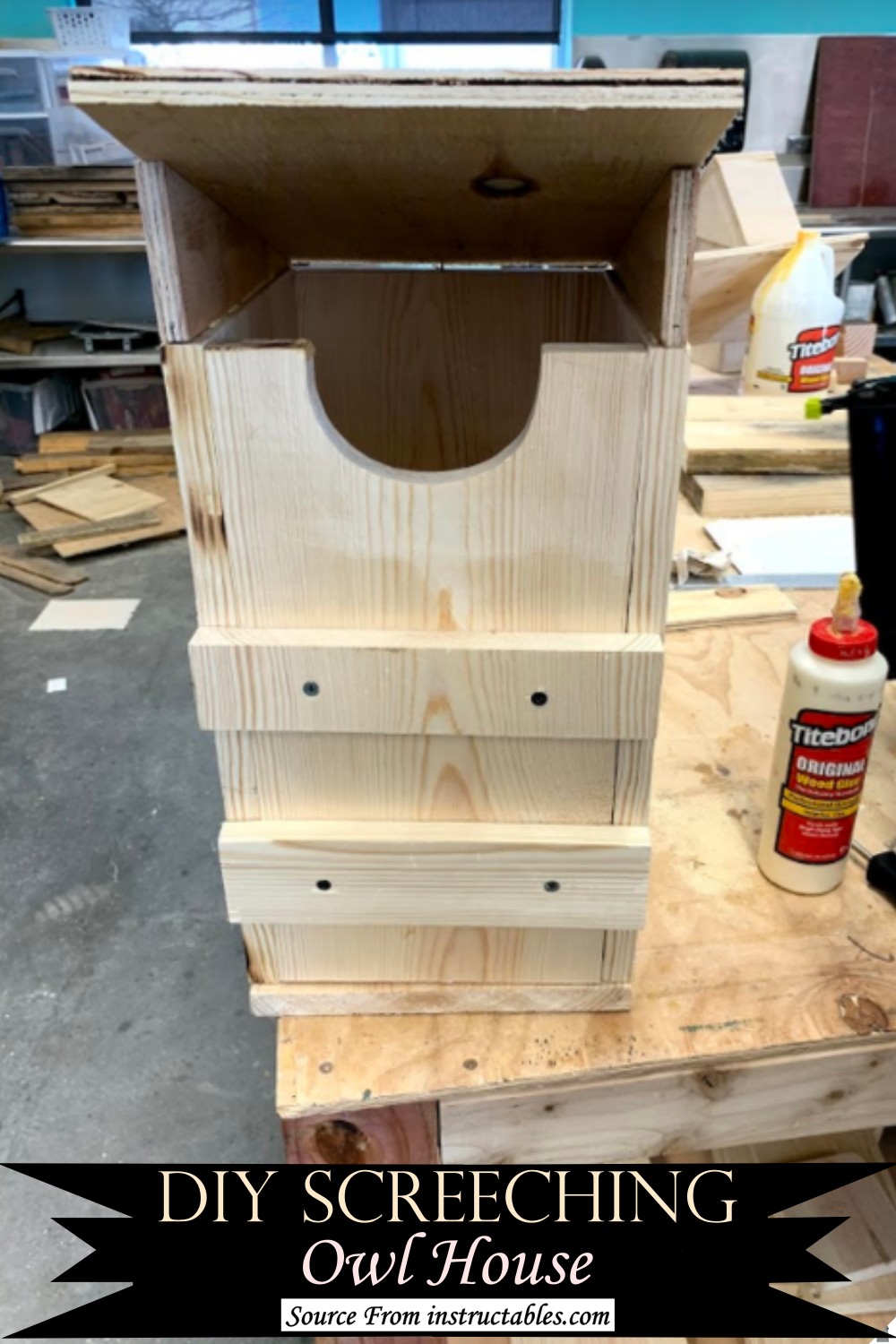 DIY Screeching Owl House
