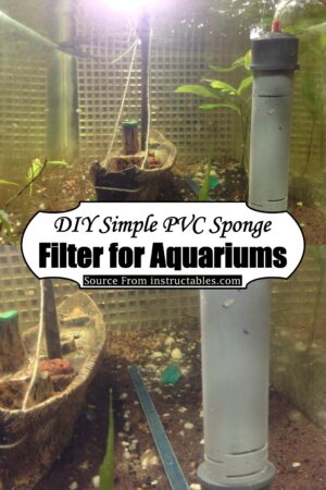 10 DIY Sponge Filter Ideas - DIYsCraftsy