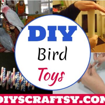 DIY Bird Toys
