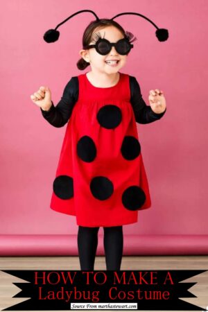 16 Simple DIY Ladybug Costume Ideas - DIYsCraftsy