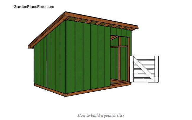 8×10 Goat Shelter Plans
