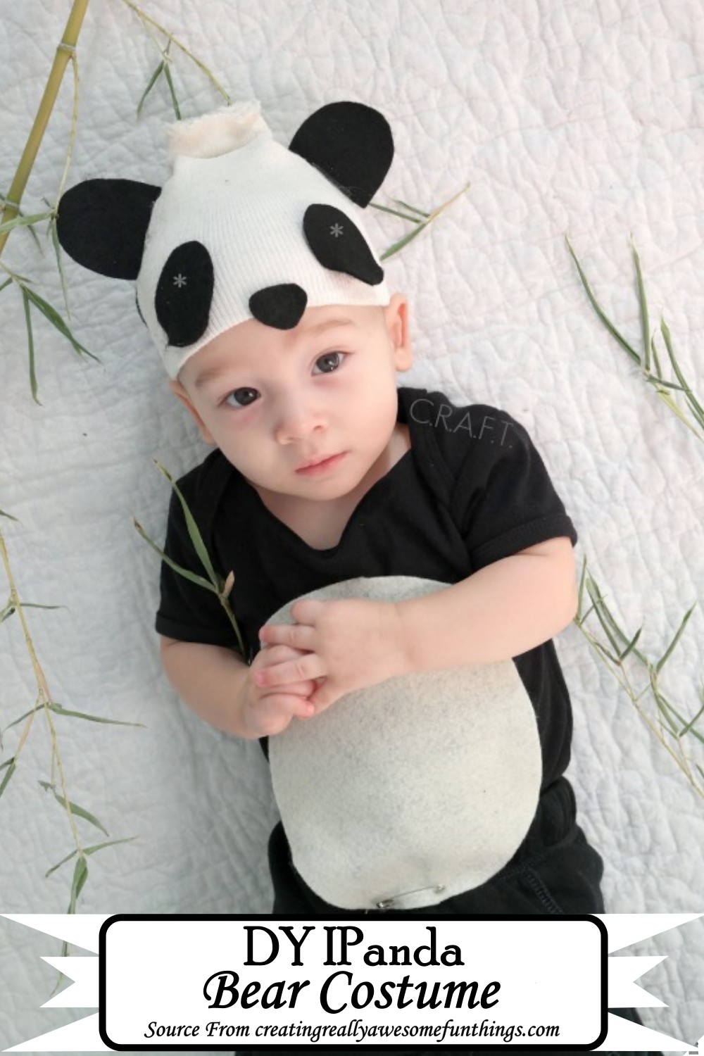 DY IPanda Bear Costume