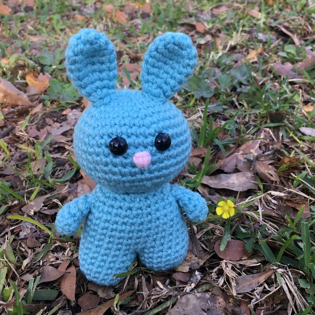 Easter Bunny Buddy