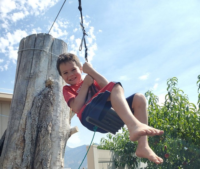 How To Build Your Own Amazing Backyard Zip Line