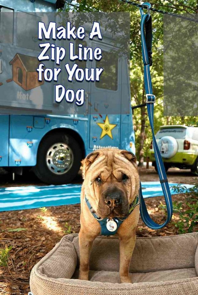 Zipline for Pet Dog