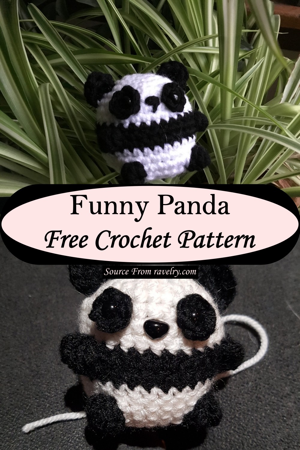 Funny Panda