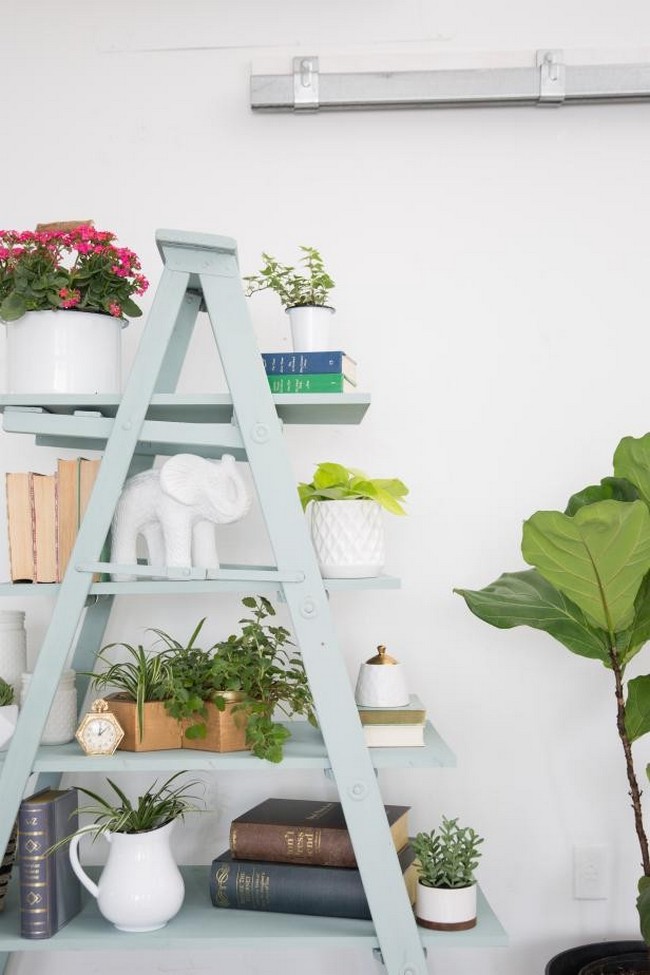 30 DIY Ladder Shelf Plans You Can Build Today DIYsCraftsy