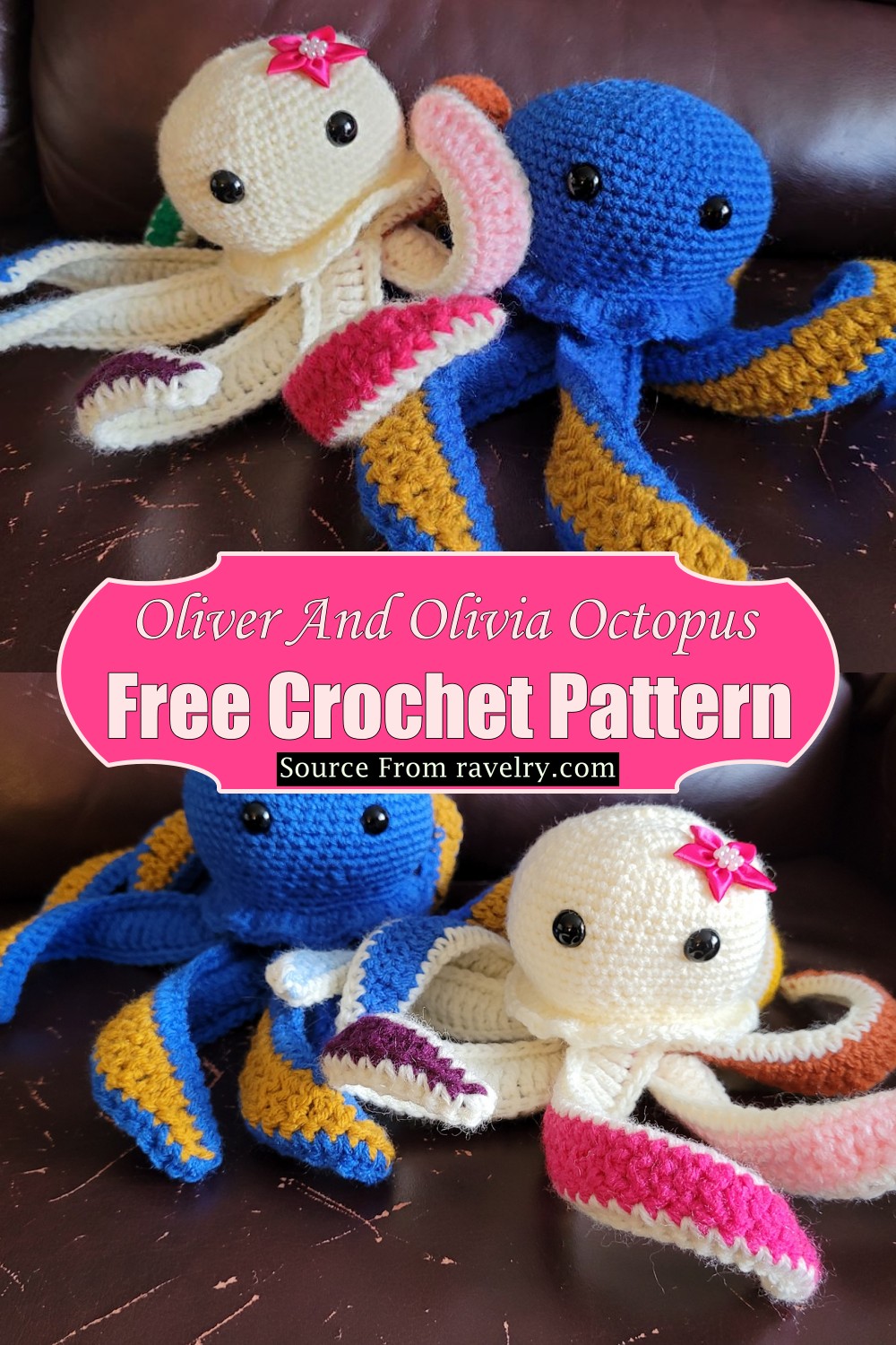 Oliver And Olivia Octopus