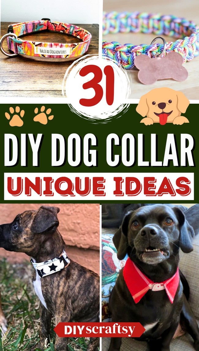 31 Easy DIY Dog Collar Projects For Beginners