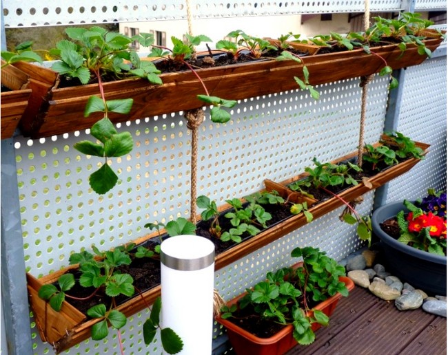 Create Your Own Hanging Strawberry Planter