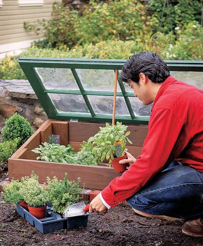 23 DIY Cold Frame Ideas How to Make a Cold Frame DIYsCraftsy