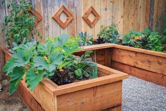DIY Garden Box 2