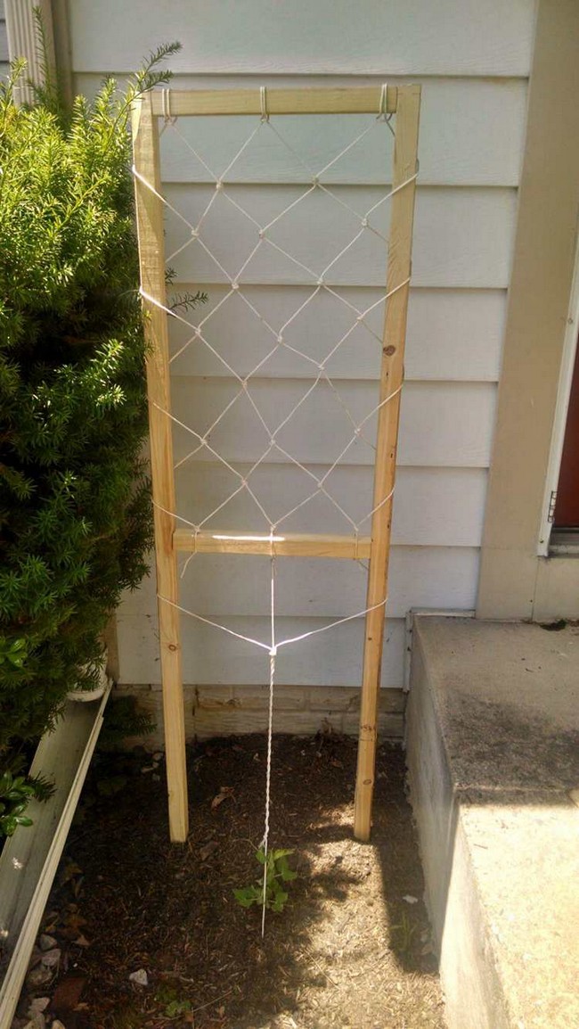 DIY Macrame Trellis