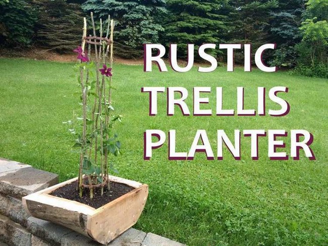 DIY Rustic Trellis Planter