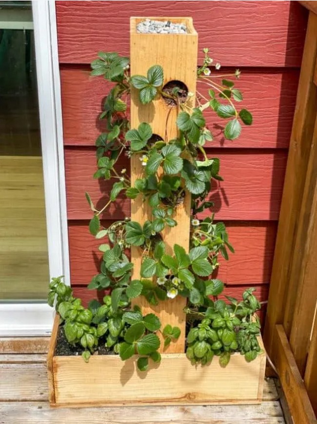 DIY Strawberry Planter