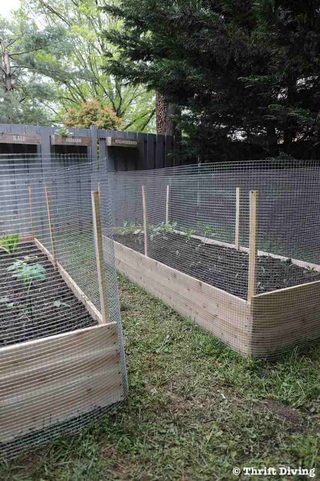 How to Build a DIY Raised Garden Bed