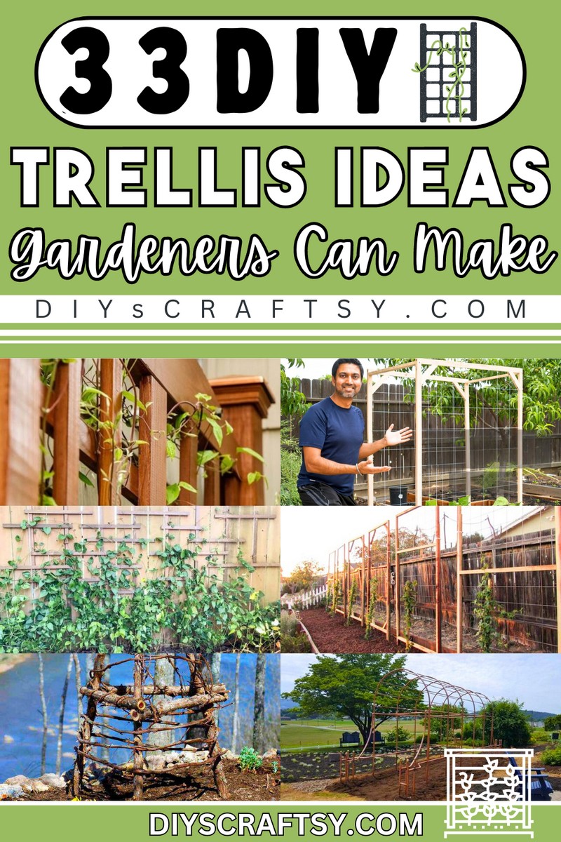 33 Easy DIY Trellis Ideas