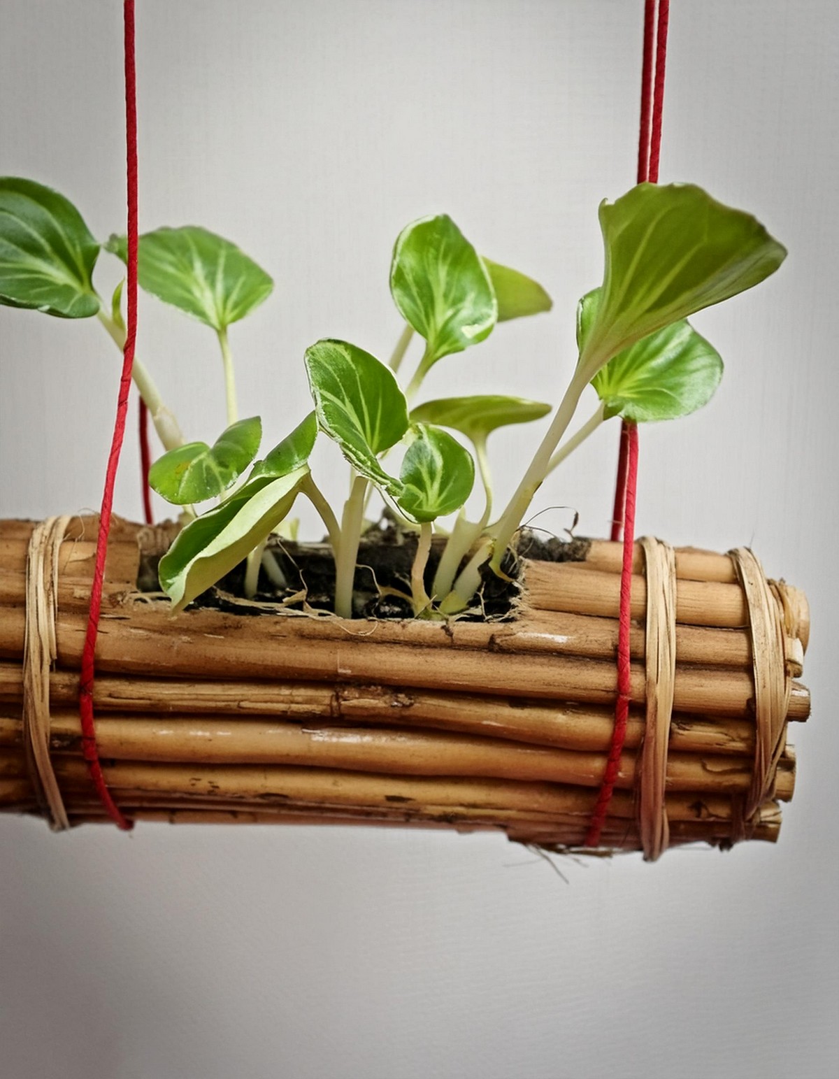 21 DIY Hanging Planter Ideas You Can Make At Home - DIYsCraftsy