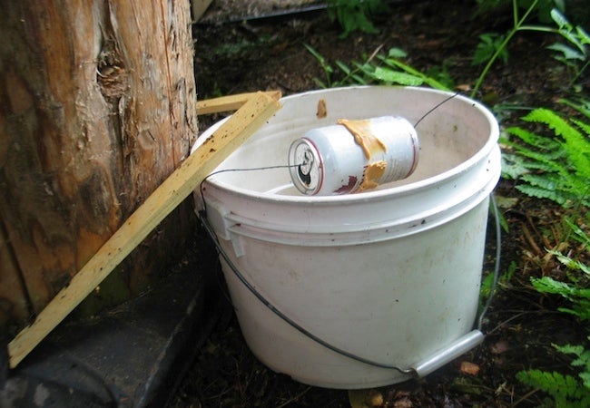DIY Humane Mouse Trap