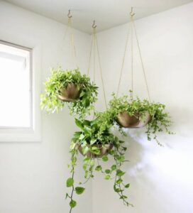 21 DIY Hanging Planter Ideas You Can Make At Home - DIYsCraftsy