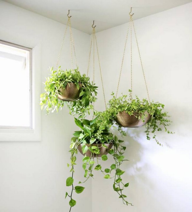 21 DIY Hanging Planter Ideas You Can Make At Home DIYsCraftsy
