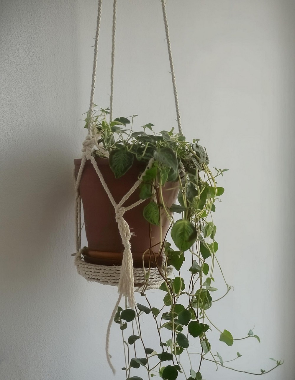 Hanging Planter With Macrame