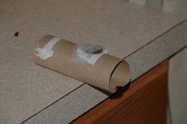 Simple ‘No-Kill’ Homemade Mouse Trap