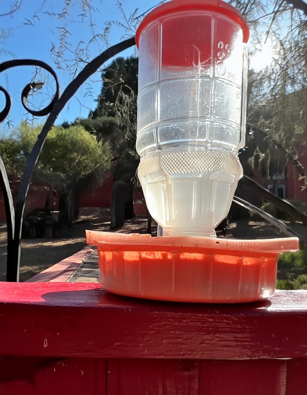 Cheap Hummingbird Feeder
