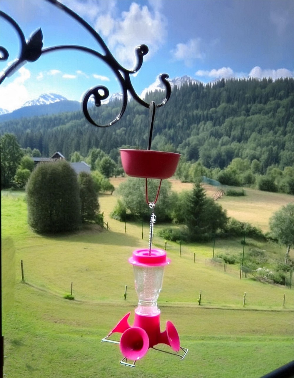 Make A Hummingbird Feeder At Home