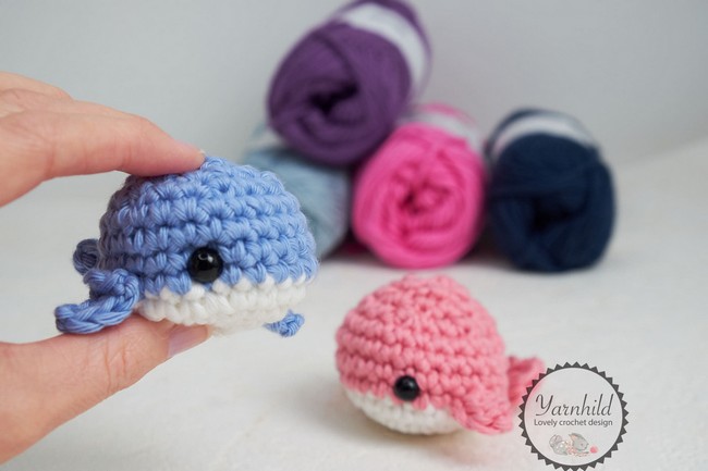Anton The Whale