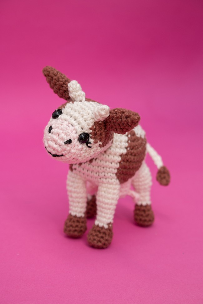 Blossom The Cow