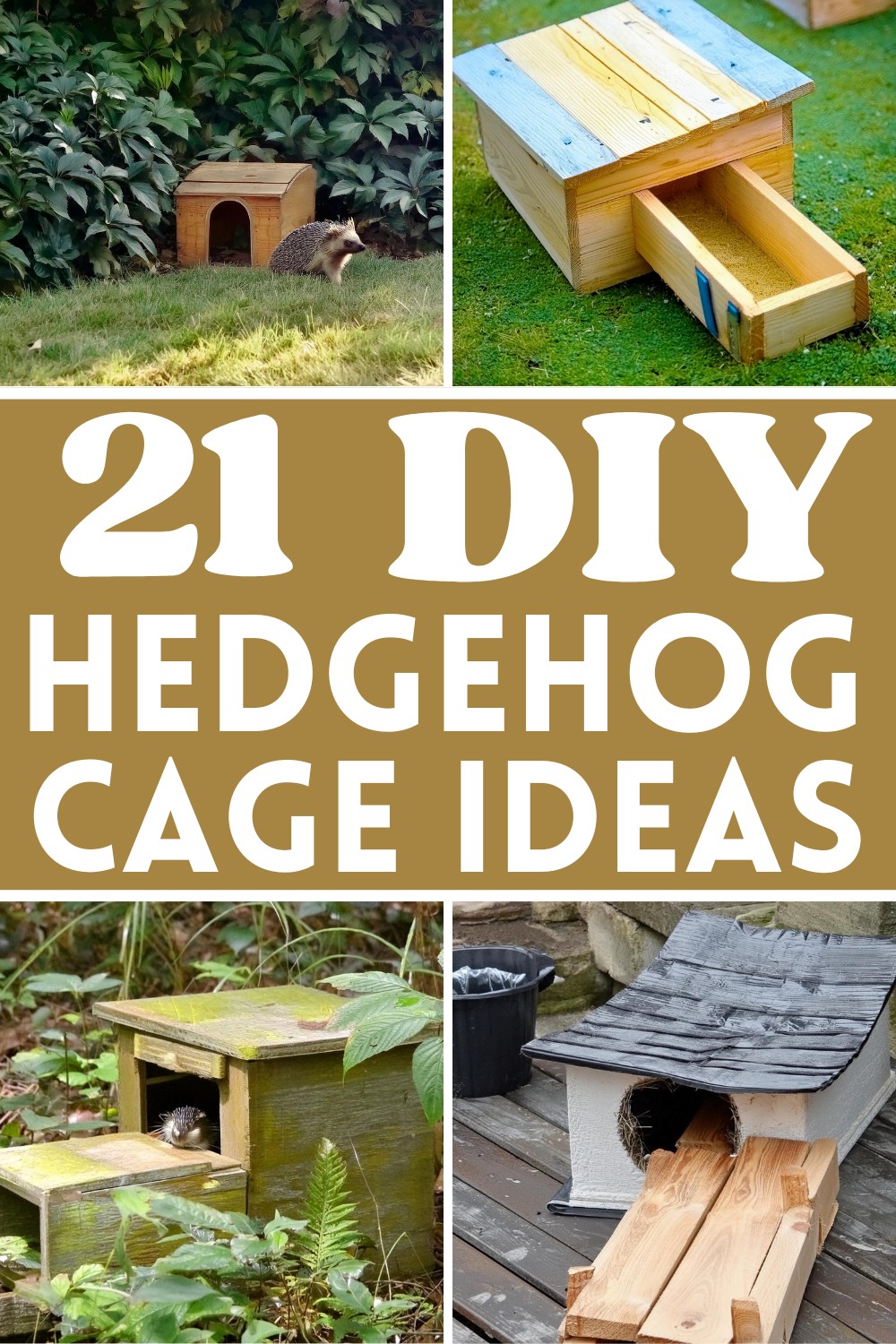DIY Hedgehog Cage Ideas