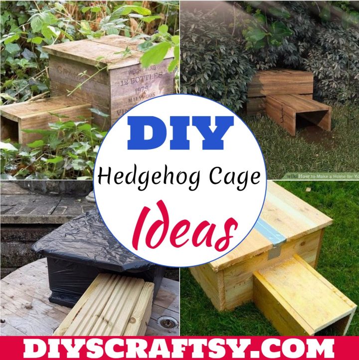 17 DIY Hamster Cage Ideas You Can Make At Home - DIYS Craftsy