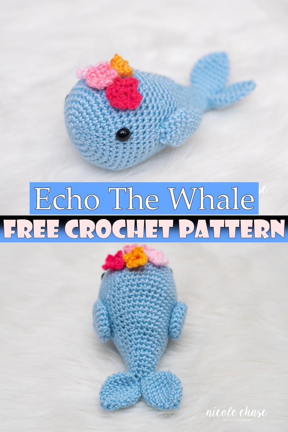 Echo The Whale