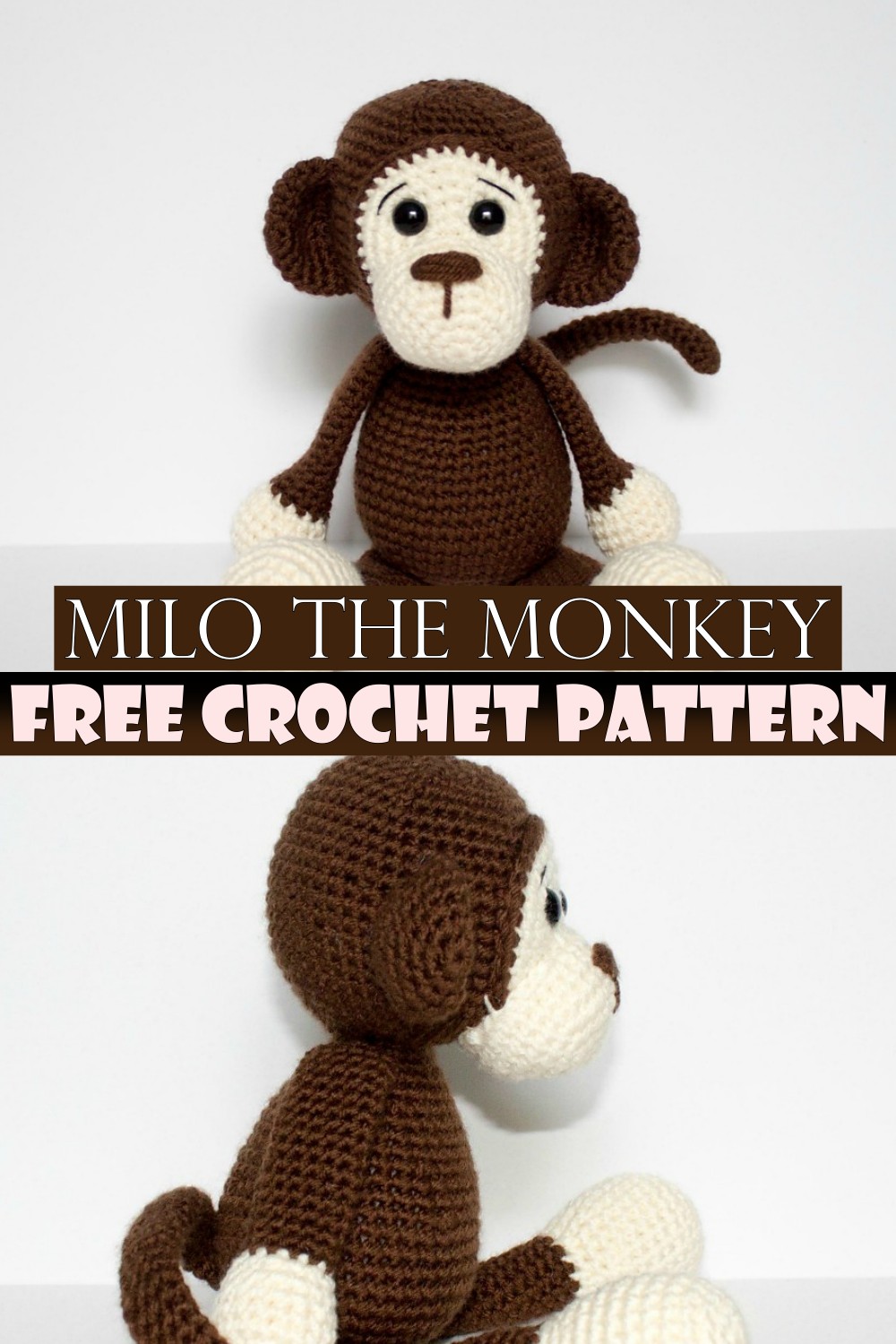 Milo The Monkey