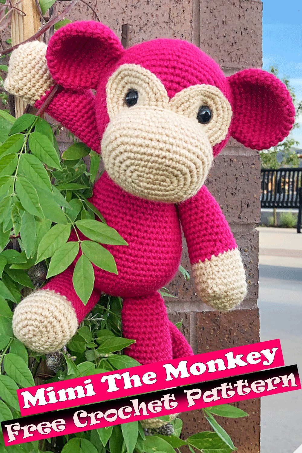 Mimi The Monkey 1