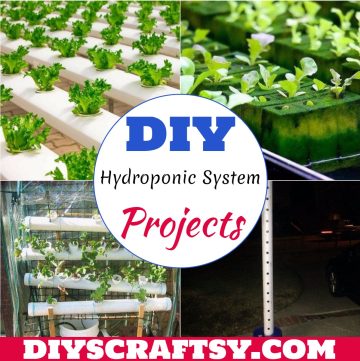 DIY Hydroponic System Projects 1