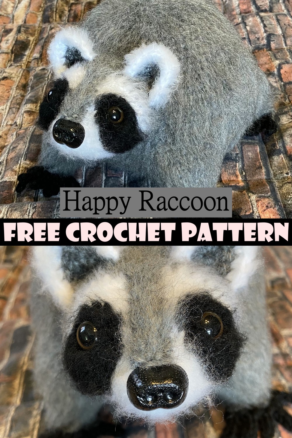Happy Raccoon