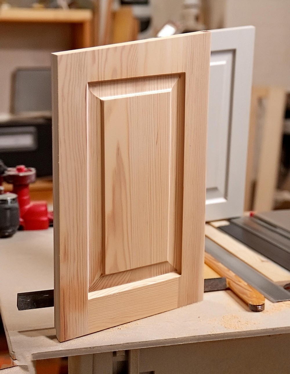 Shaker Cabinet Door
