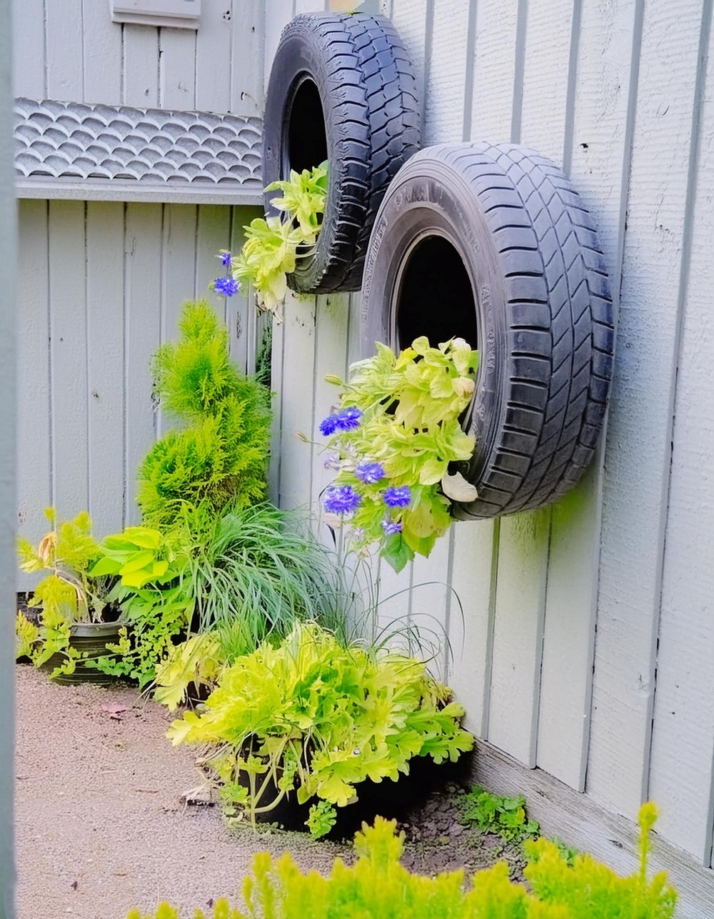 Blooming Tire Planter Mounted on the Wall