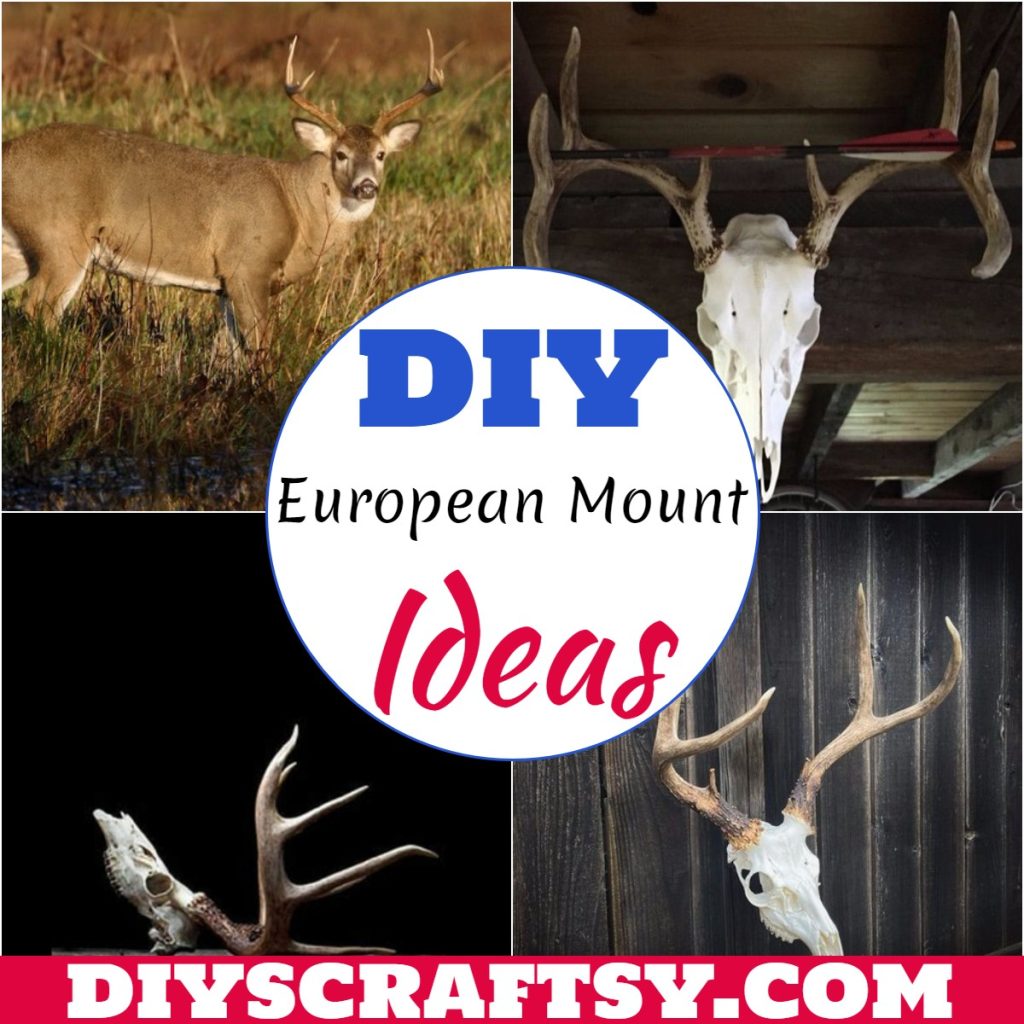 19 Inexpensive DIY European Mount Ideas DIYsCraftsy