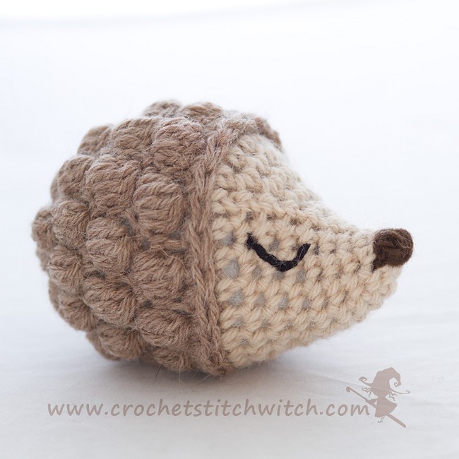 Diddy Hedgehog