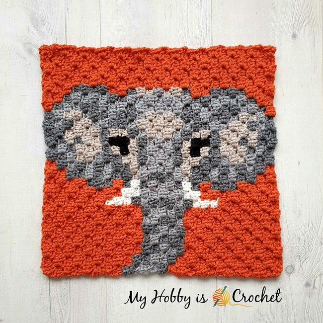 Elephant C2c Square